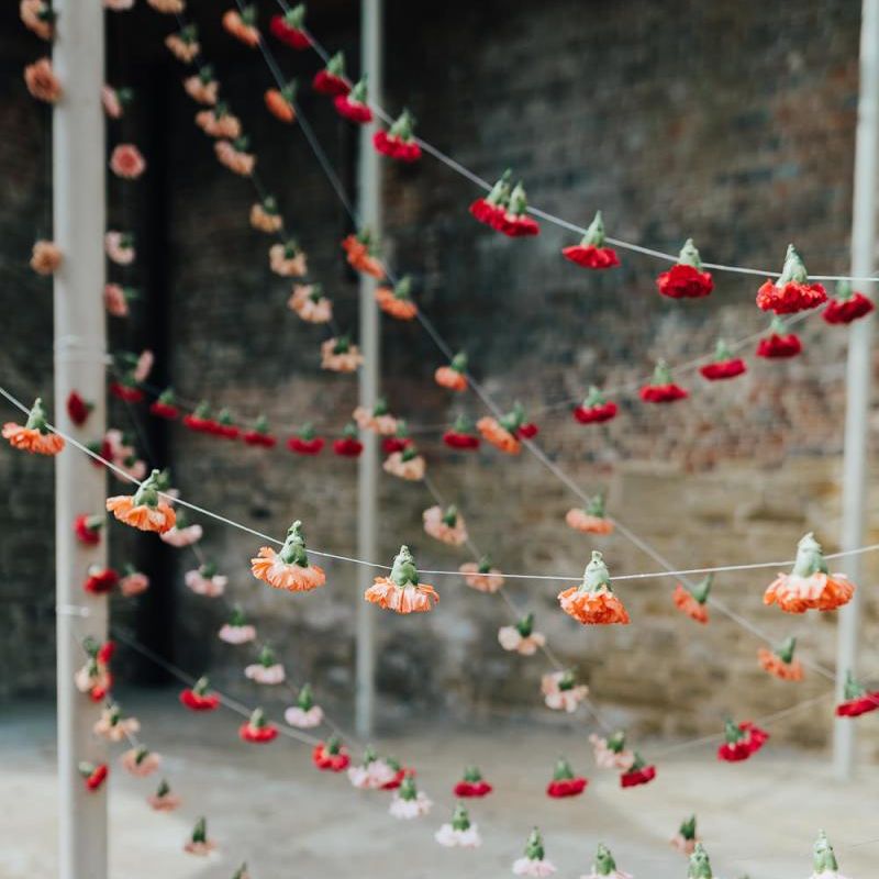 Hanging carnation heads at Chiddingstone Castle