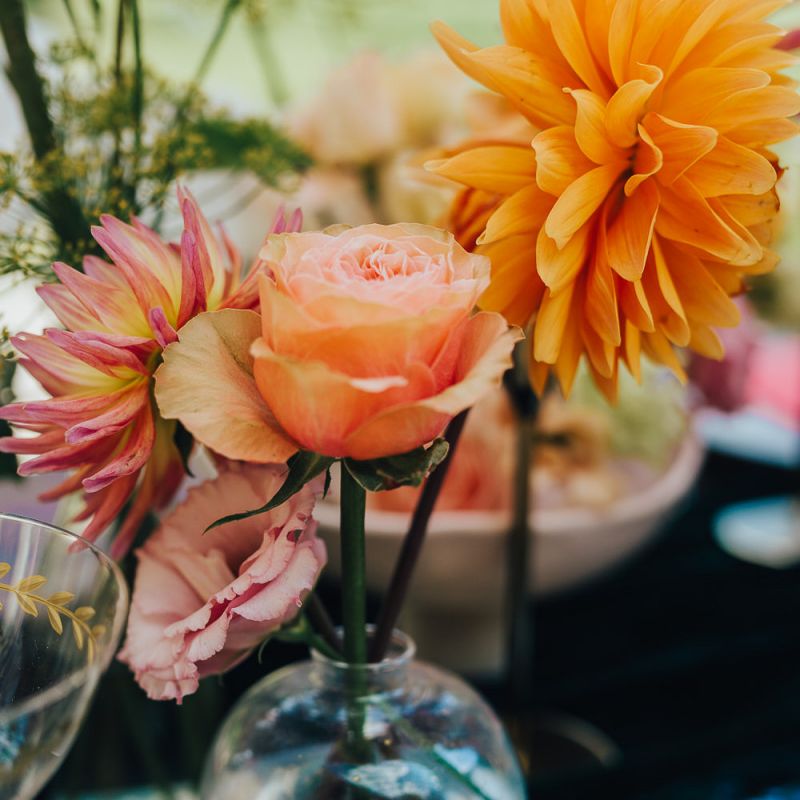 Orange flower heads in a vase