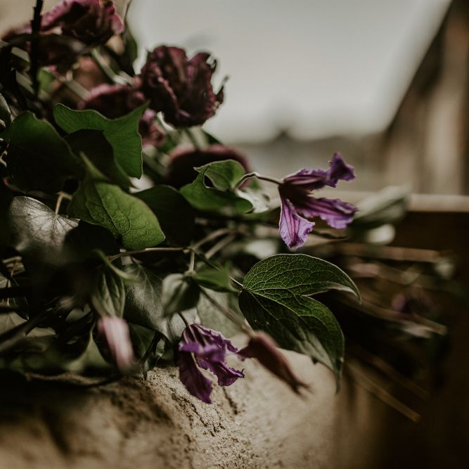 Deep Red, Plum &amp; Purple Wedding Bouquet Flowers | Forest Green and Black Dark Decadence Wedding Inspiration in a Rustic Barn Planned &amp; Styled by Knots &amp; Kisses with Images by Daze of Glory Photography