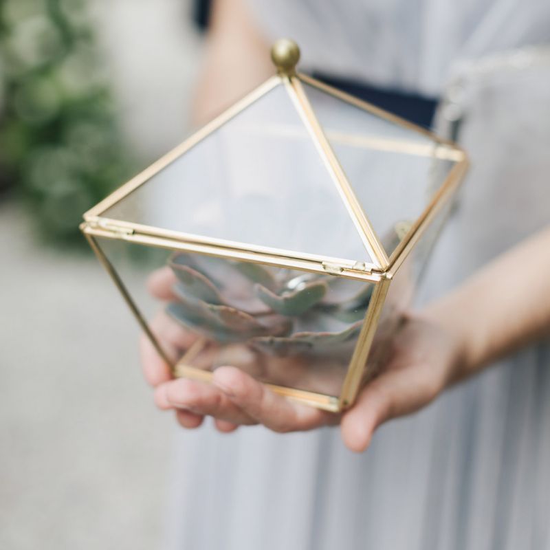 Gold Terrarium with Succulent Inside
