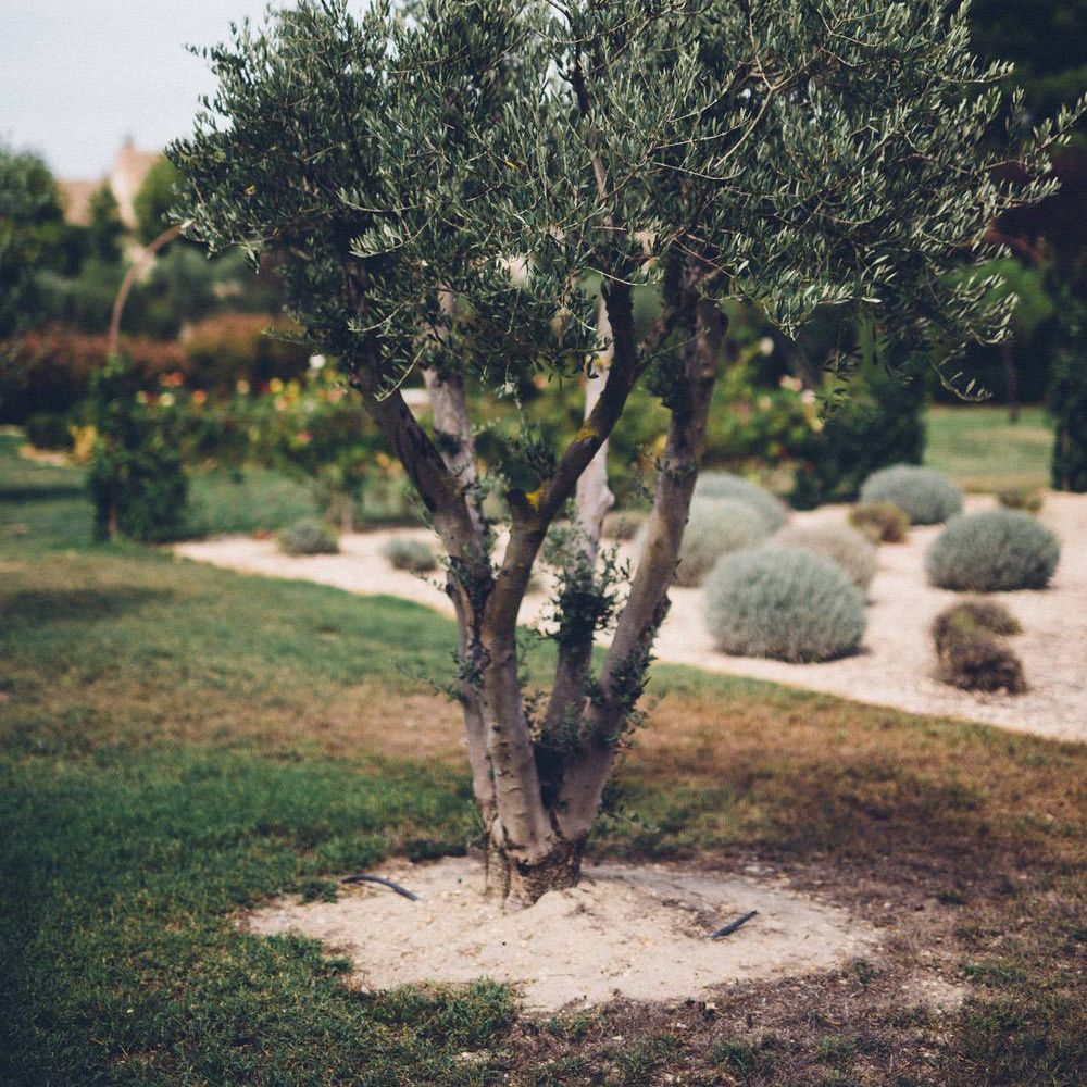 Outdoor Destination Wedding at Le Peit Hameau Wedding Venue Provence, South of France Planned by By Mademoiselle | Lovestruck Photography