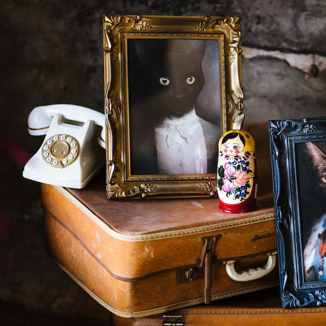 Wedding Reception Decor | Vintage Suitcases | Cat Portraits | Edison Bulb Floral Installation at Kingsthorpe Lodge Barn Wedding | Johnny Dent Photography