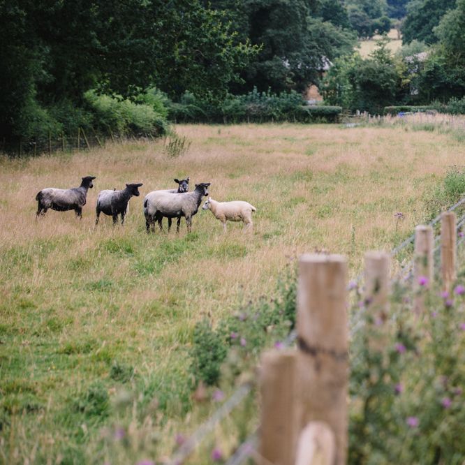 Festival Wedding // Image By Studio TM