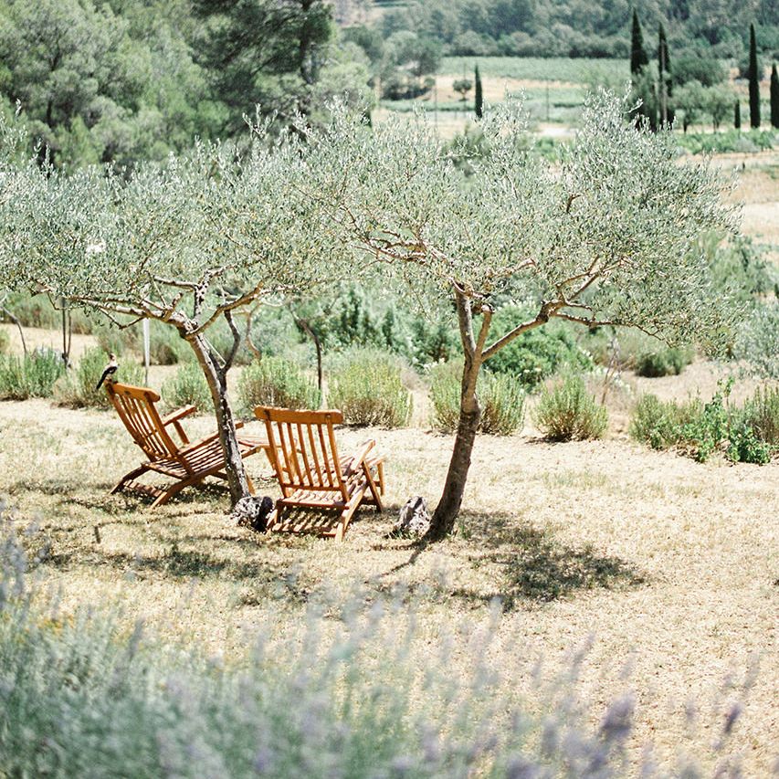 Vineyard | Outdoor Wedding at Commanderie de Peyrassol, Provence, France Styled by La Chuchoteuse | Lace Bridal Gown | Black Tie Suit | Rustic Stretch Tent Reception | Raisa Zwart Photography
