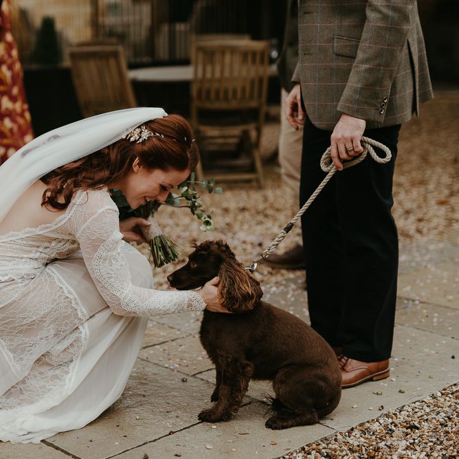 Pet Cocker Spaniel at Lapstone Barn wedding