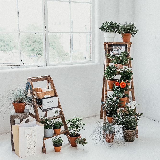 Industrial Ladder with Potted Plants | Whitewashed Walls | Cards Box | Same Sex Wedding with Industrial Styling at Wimborne House | Marmelo Photography