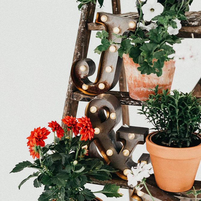 Industrial Ladder with Potted Plants | Copper Letter Lights | Same Sex Wedding with Industrial Styling at Wimborne House | Marmelo Photography