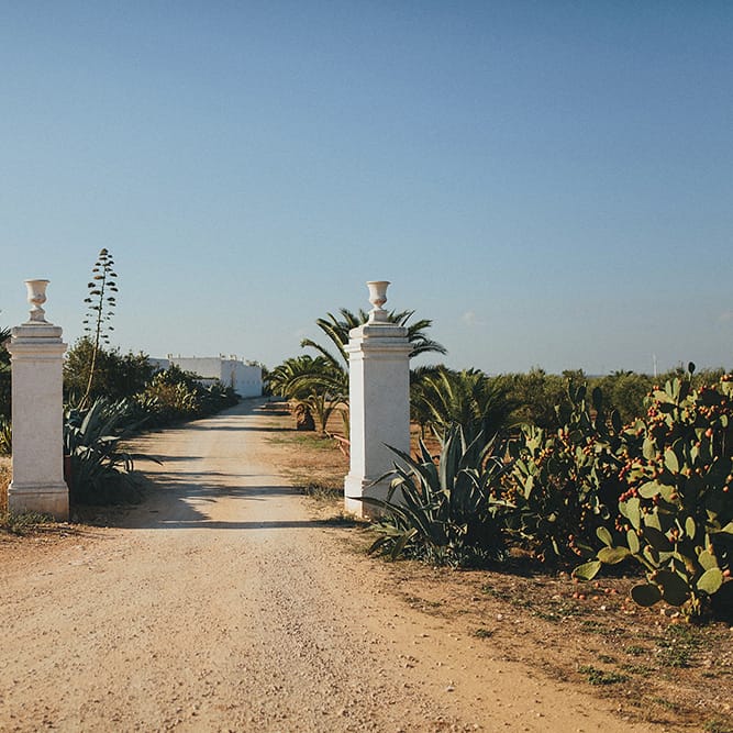 Brightly Coloured Destination Wedding at Masseria Potenti Wedding Venue, Puglia, South Italy | Petar Jurica Photography | Marco Odorino Film