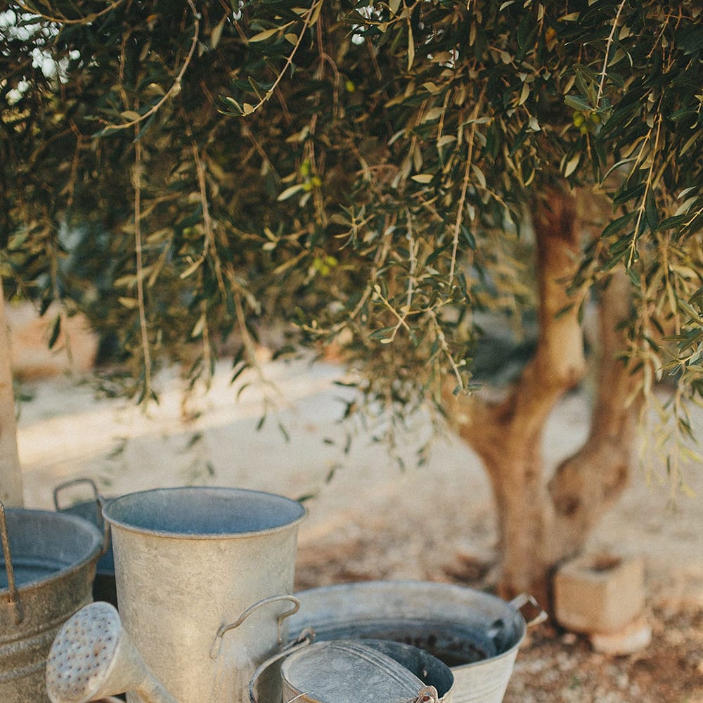 Watering Cans | Brightly Coloured Destination Wedding at Masseria Potenti Wedding Venue, Puglia, South Italy | Petar Jurica Photography | Marco Odorino Film
