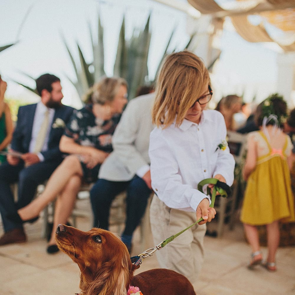 Outdoor Wedding Ceremony | Page Boy &amp; Pup | Brightly Coloured Destination Wedding at Masseria Potenti Wedding Venue, Puglia, South Italy | Petar Jurica Photography | Marco Odorino Film