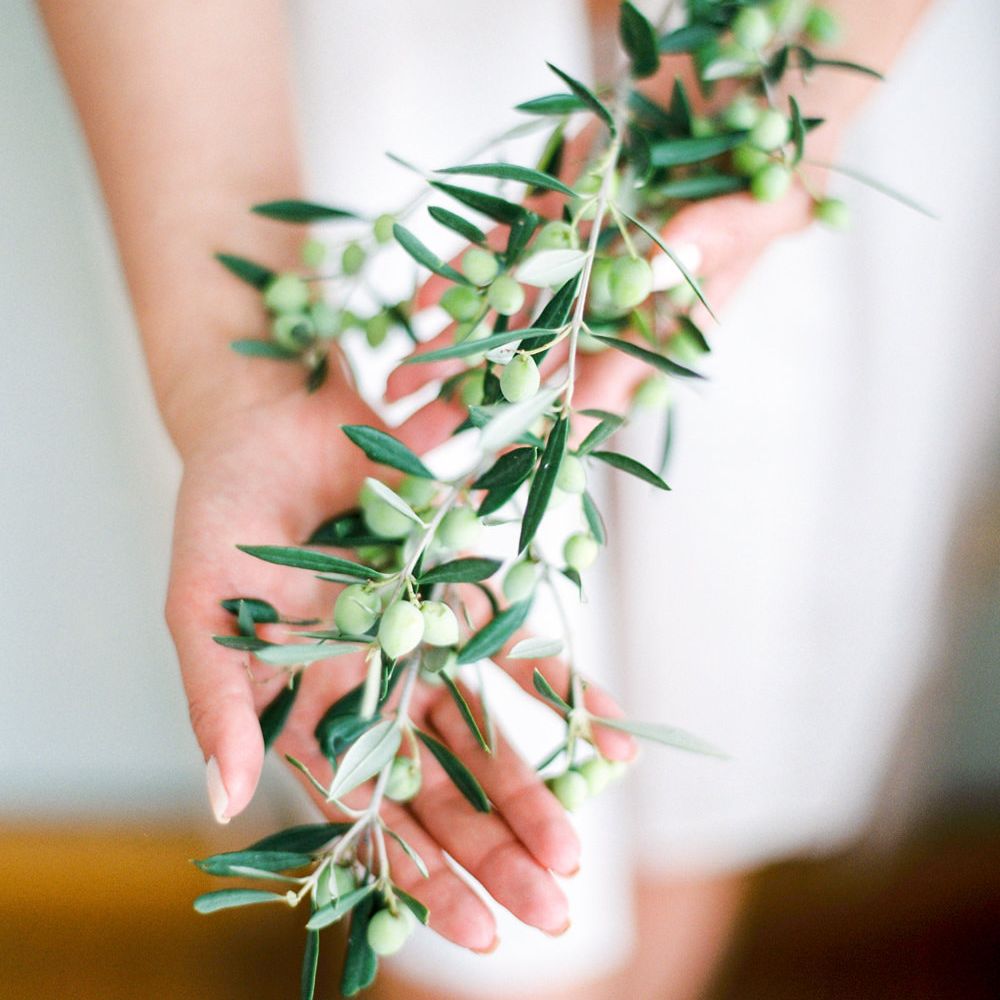 Olive Branch | Pastel Blue &amp; Green, Romantic, Destination Wedding at Corfu Luxury Villas, Planned by Rosmarin Weddings &amp; Events | Mikhail Balygin Fine Art Wedding Photographer