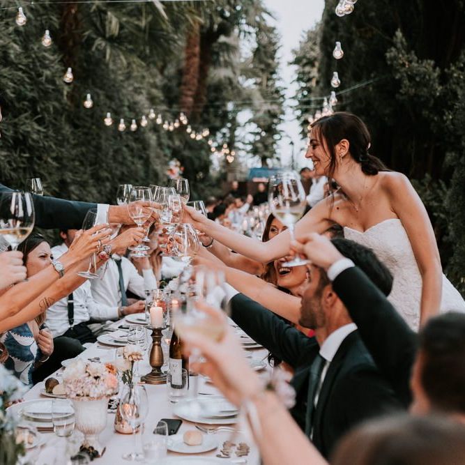 Bride and groom toast with wedding guests