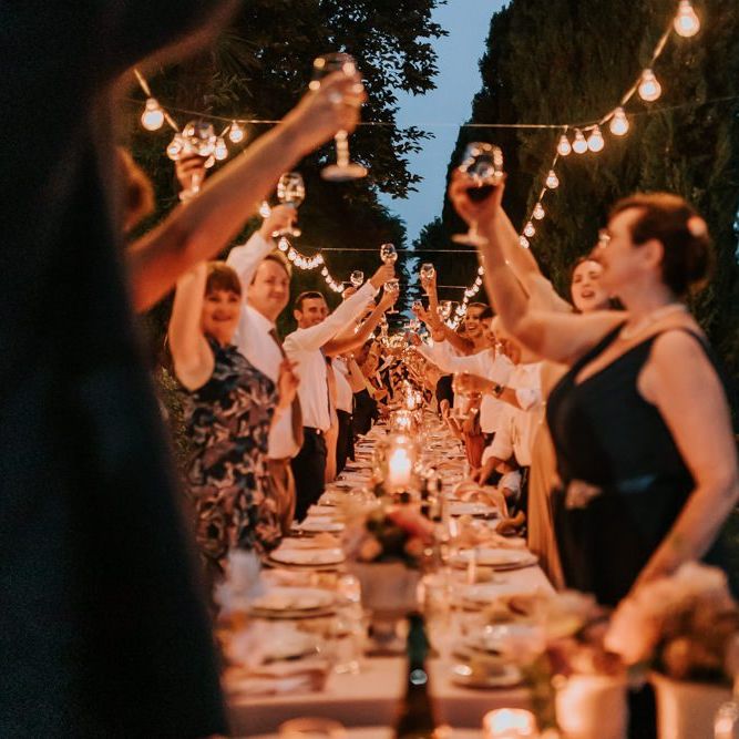 Wedding guests toast the happy couple