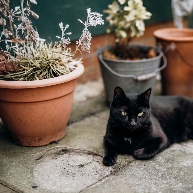 Wedding Ceremony Urban Wedding