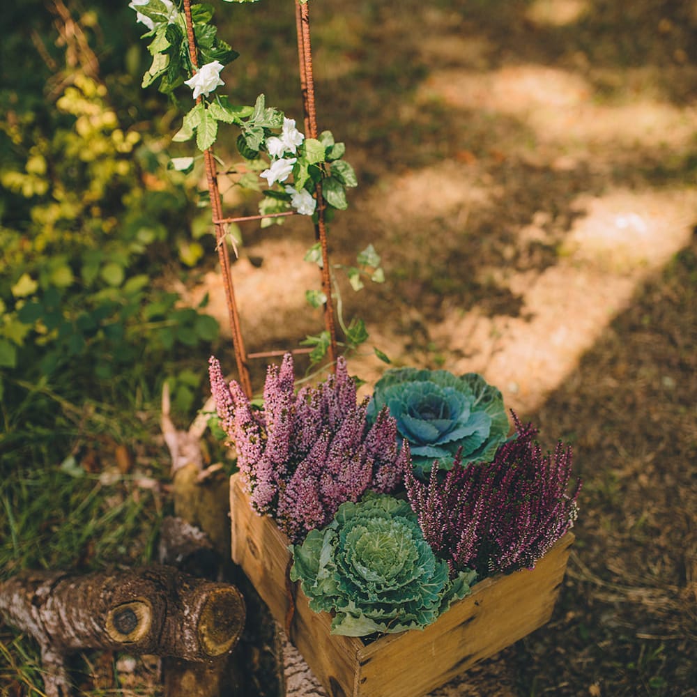 Plants Wedding Decor | Blush Outdoor Destination Wedding at Chateau de Séréville, France  |  Story + Colour Photography