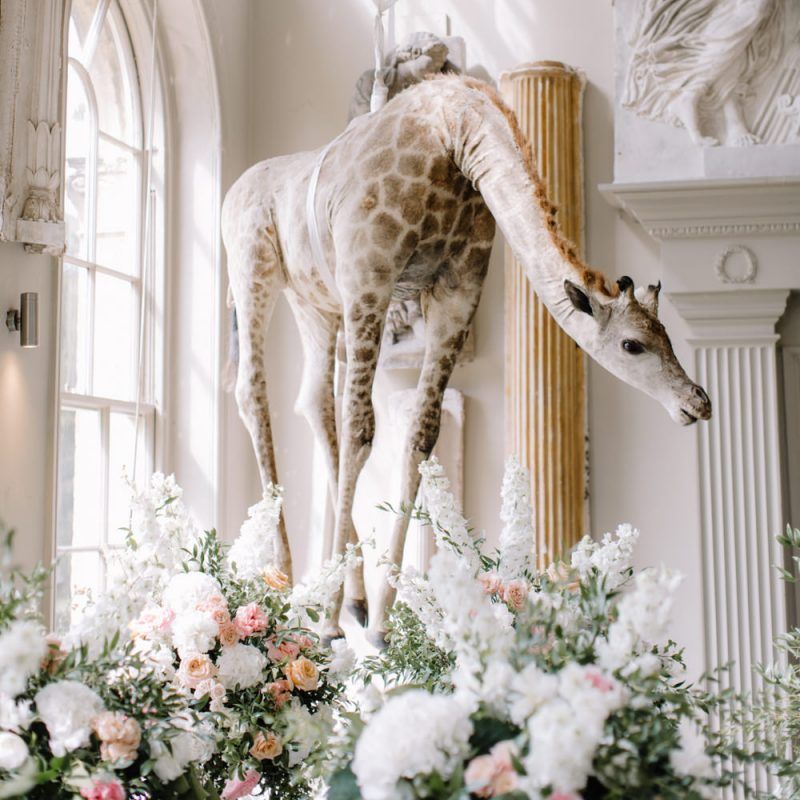 Hanging giraffe at Aynhoe Park wedding venue