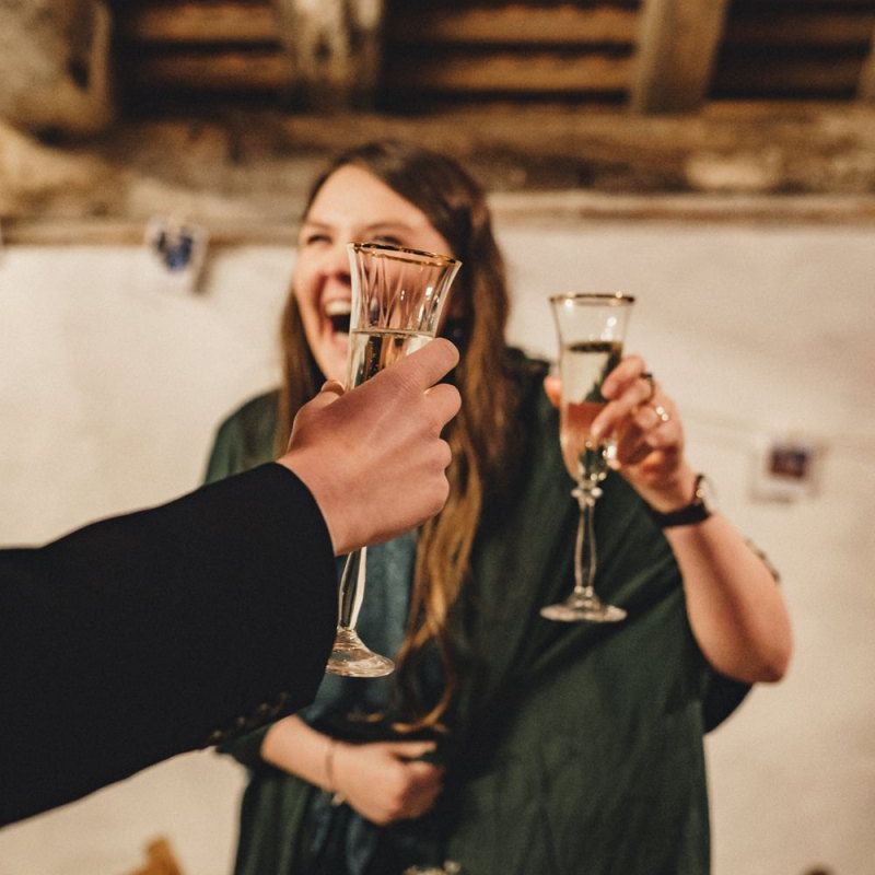 Wedding guests making a toast