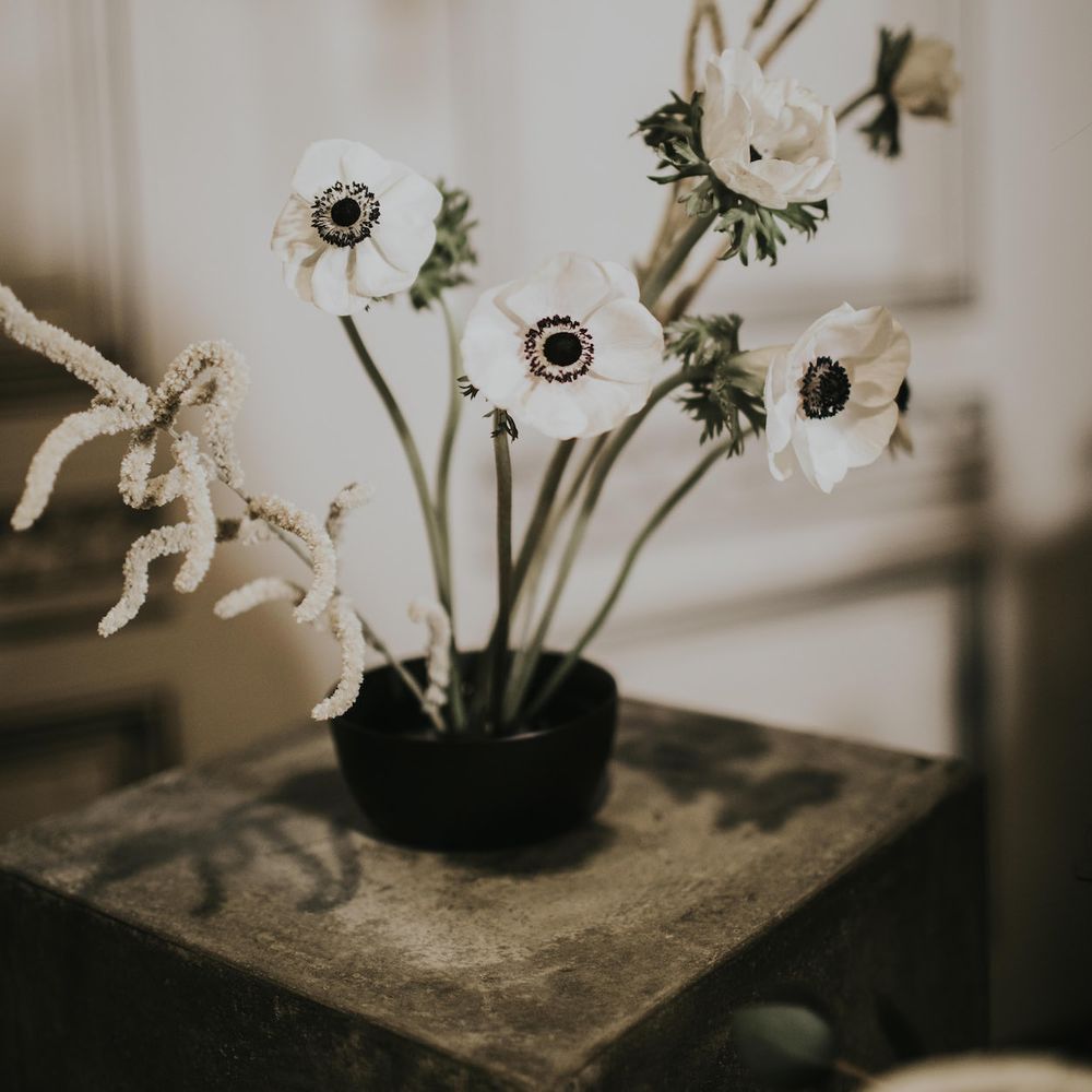Anemone Stems Floral Arrangement | Minimalist Monochrome Inspiration with Anemone's &amp; White Genista Flowers styled by The Bijou Bride | Igor Demba Photography | Gione da Silva  Film