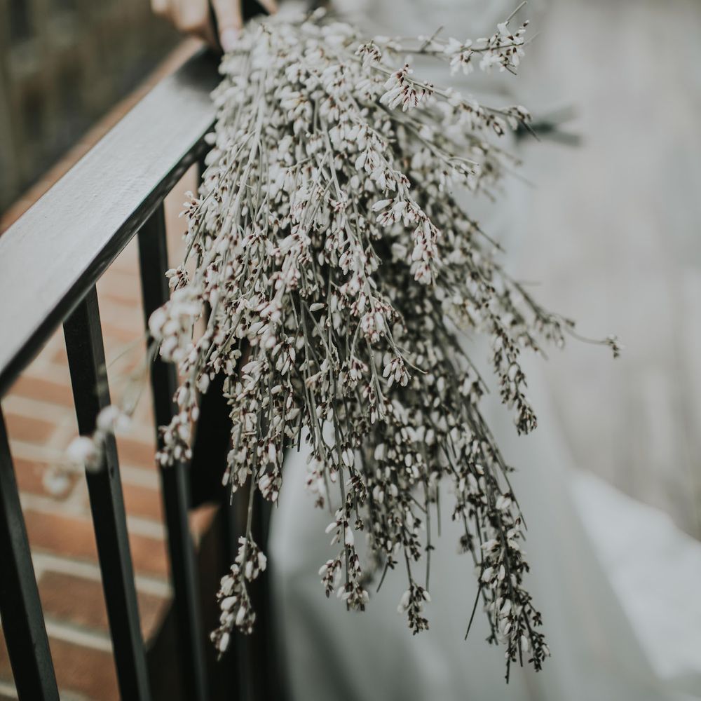 Genista Bridal Bouquet | Minimalist Monochrome Inspiration with Anemone's &amp; White Genista Flowers styled by The Bijou Bride | Igor Demba Photography | Gione da Silva  Film