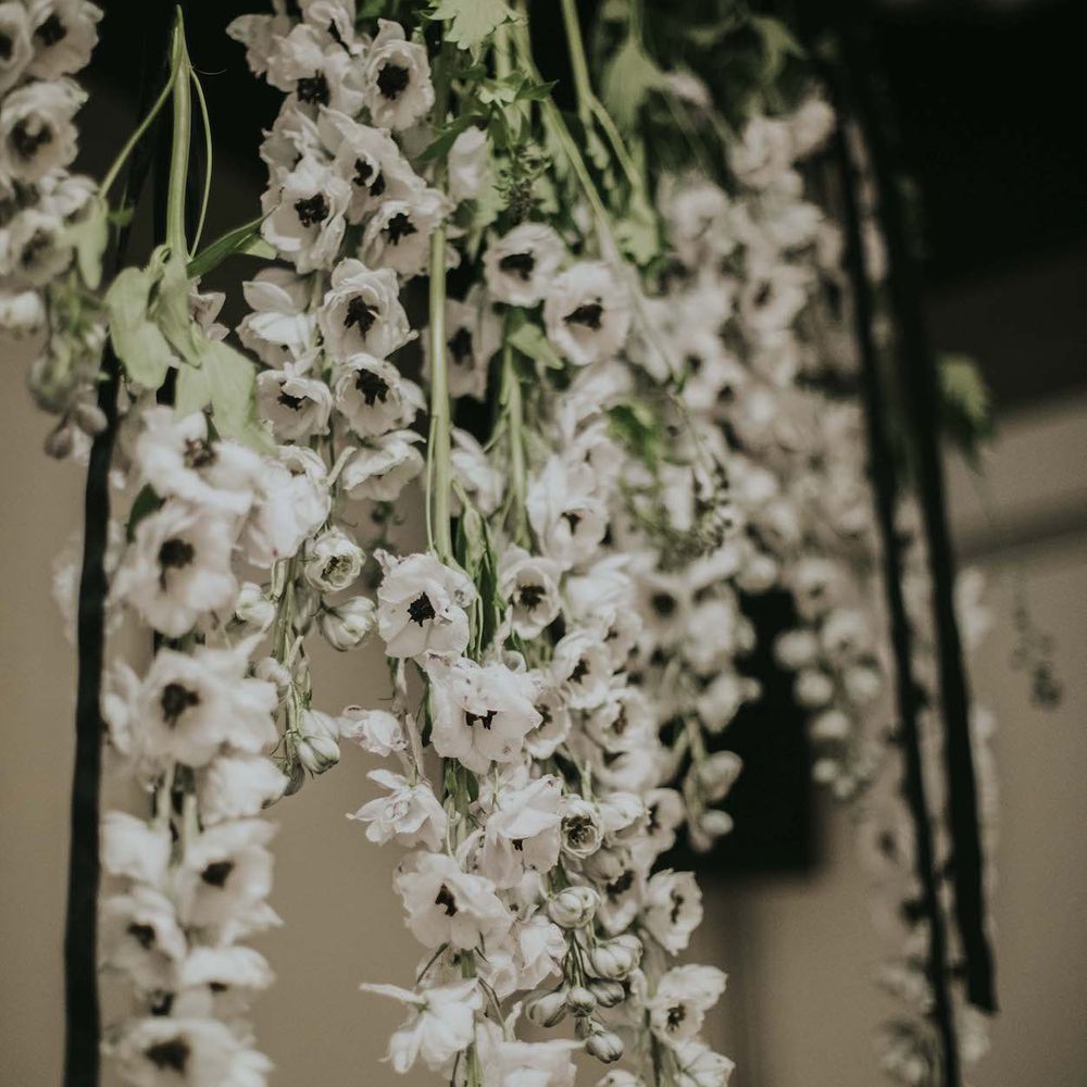 Hanging Anemone Stems Floral Installation | Minimalist Monochrome Inspiration with Anemone's &amp; White Genista Flowers styled by The Bijou Bride | Igor Demba Photography | Gione da Silva  Film