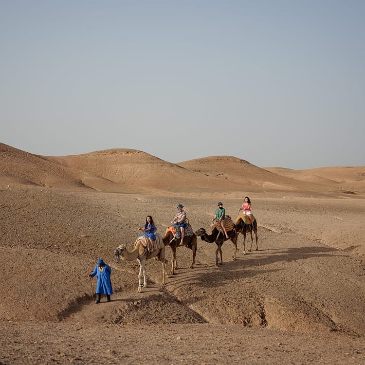 Scarabeo Desert | Paradise Destination Wedding at Jnane Tamsna in Marrakech, Morocco | Nordica Photography | Matteo Castelluccia Film