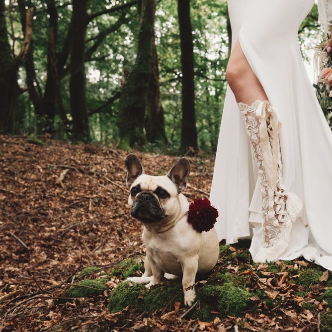 Lace Knee High Wedding Boots and Pet Pugs