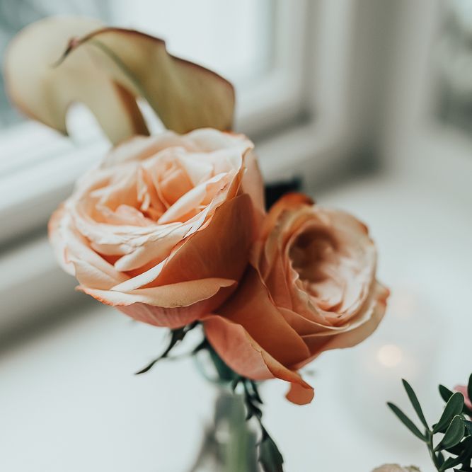 Coral flower stems in vase