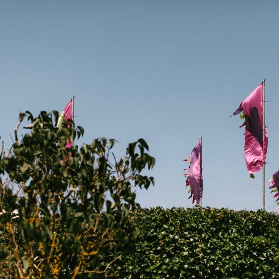 Colourful Festival Flags