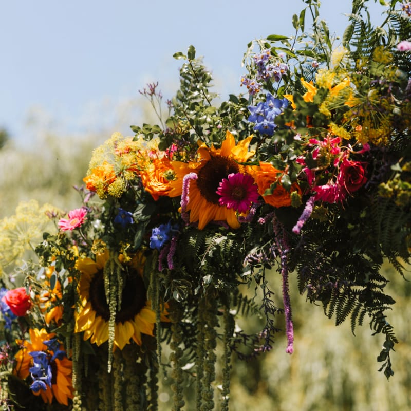 Colourful Moon Gate with Vibrant Flowers