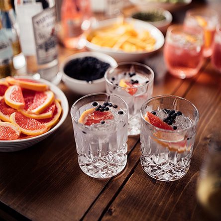 Fruit for Gin Cocktails