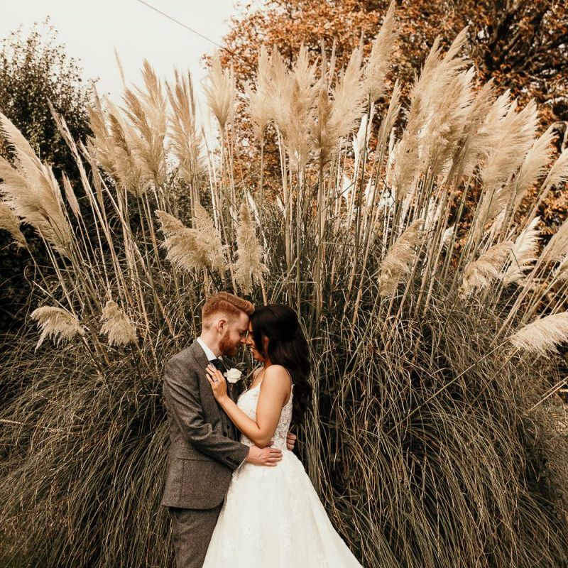 Bride and groom wedding portrait next to pampas grass plant