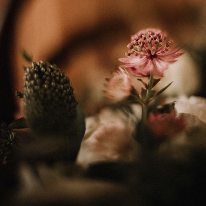 Wildflowers | Snowdonia National Park | Carla Blain Photography | Exclusive Hire of Plas Gwynfryn