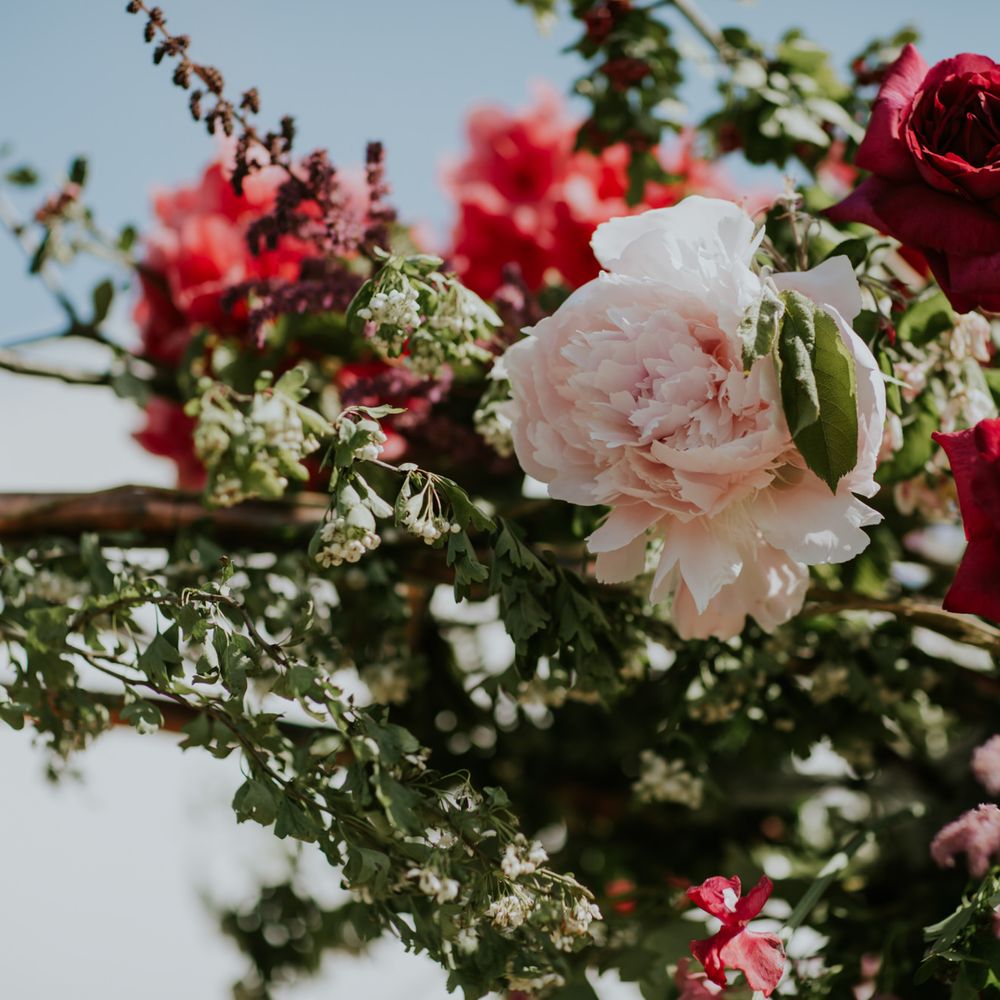 Floral Arch By Flowers With M // Coastal Wedding In St Mawes Cornwall With Food By The Hidden Hut And Planning By Isla And Smith With Images From Enchanted Brides Photography