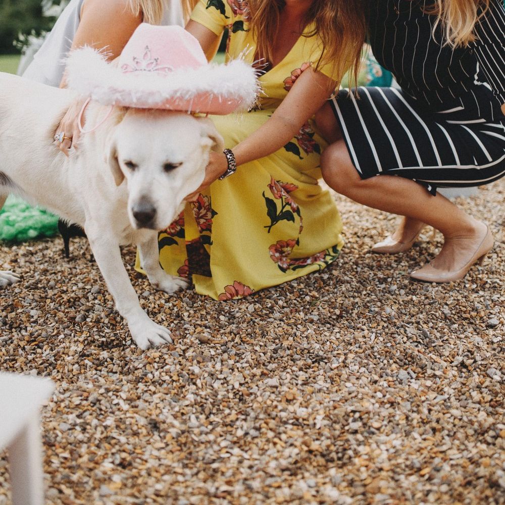 Pennard House Somerset Wedding / Image By Ali Paul Photography