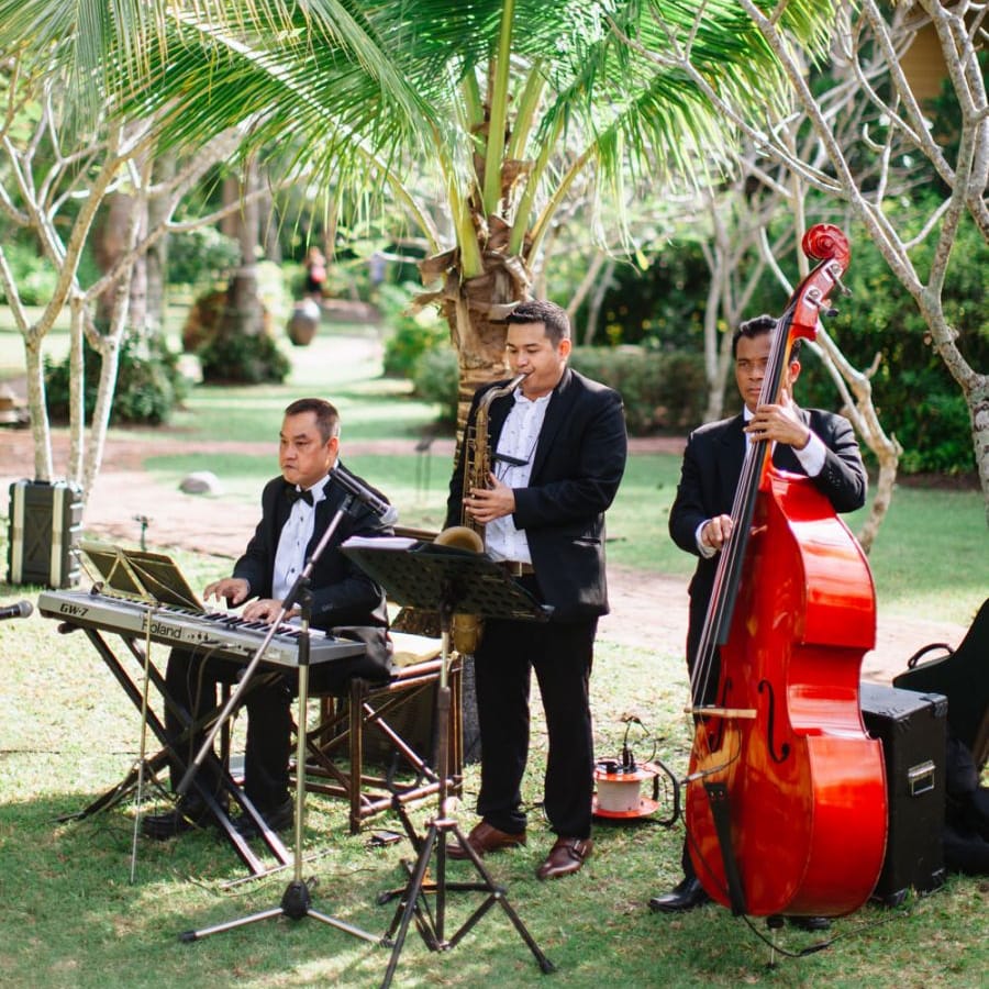Wedding quartet for tropical wedding