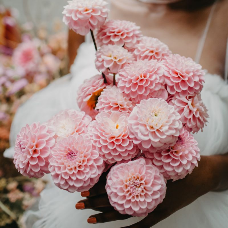 pink pompom dahlia bouquet for tropical wedding inspiration at Secret Garden Kent