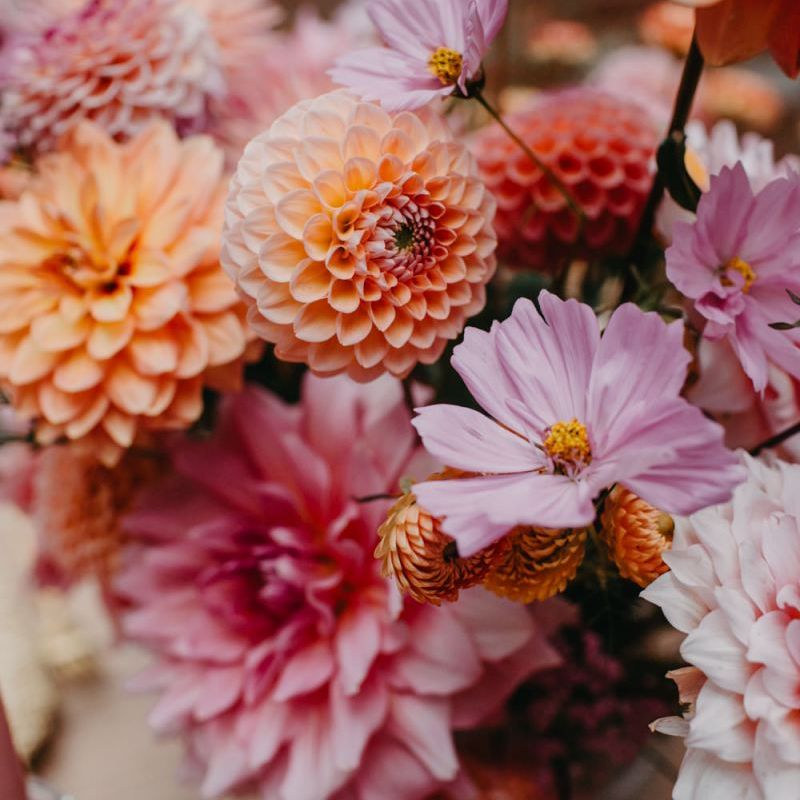 Colourful dahlia wedding flowers