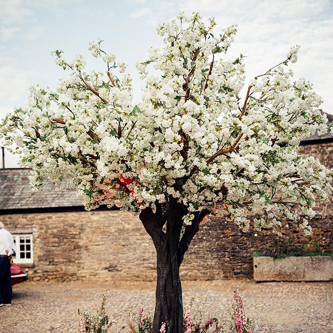Blossom tree at Kingston Estate, Devon