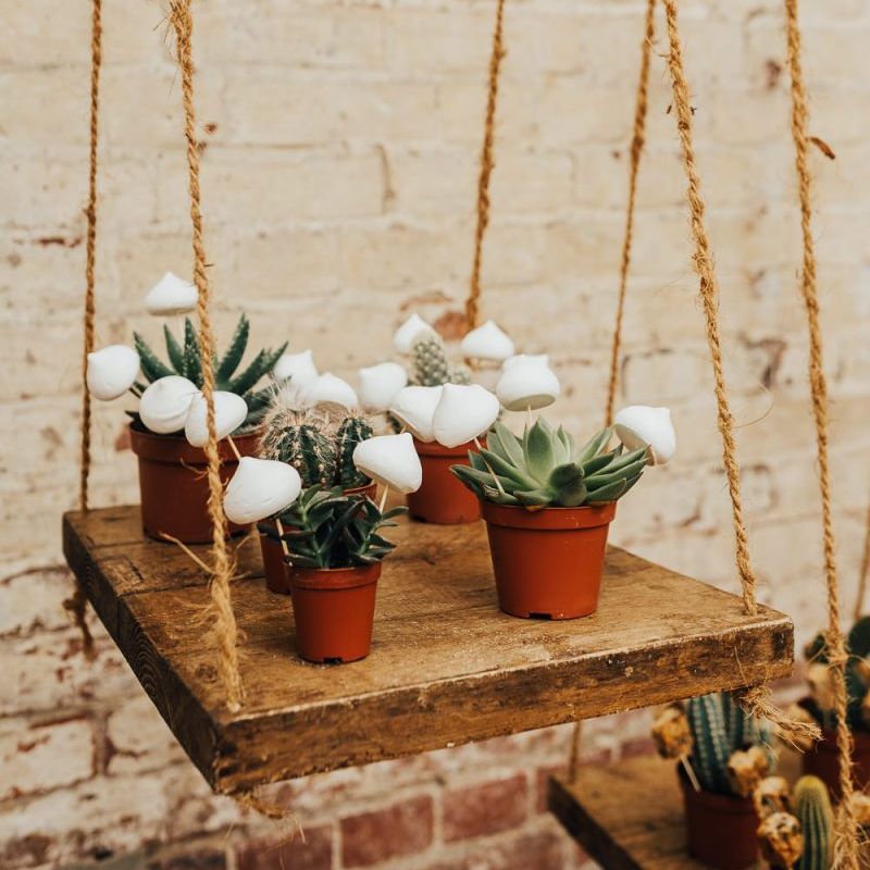 Cactus plants and meringue kisses at western wedding inspiration shoot