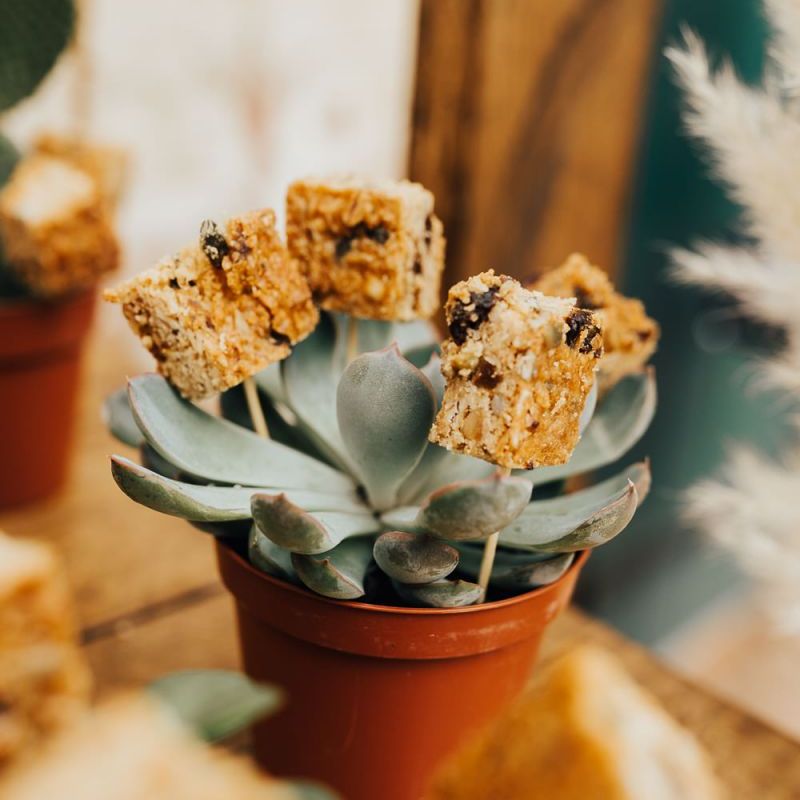 cake table with flapjacks on a stick  in cactus plants