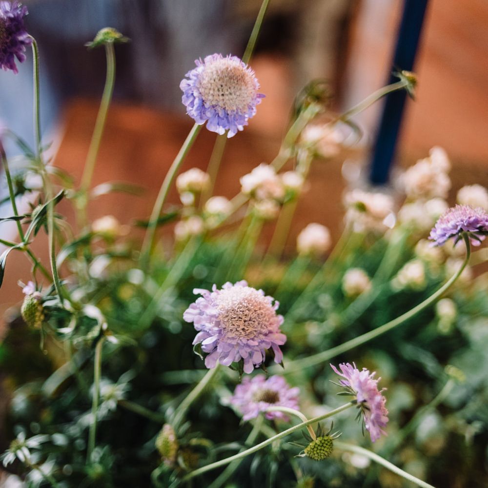 Wild Flowers | Wild Coastal Elopement, Bridal Inspiration at New Barton Barns, Devon | Liberty Pearl Photography &amp; Film