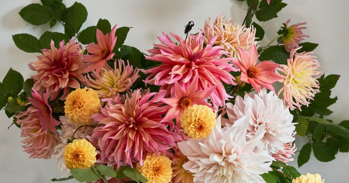 Wedding Venues and Wedding Suppliers