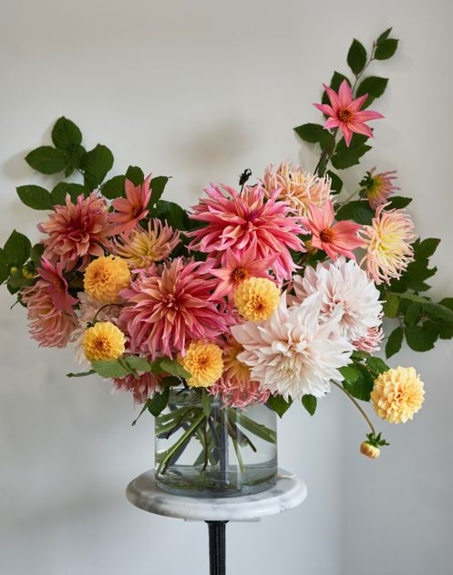 Wedding Venues and Wedding Suppliers