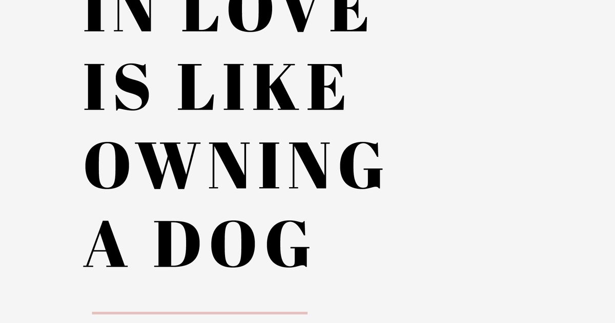Falling In Love Is Like Owning A Dog by Taylor Mali