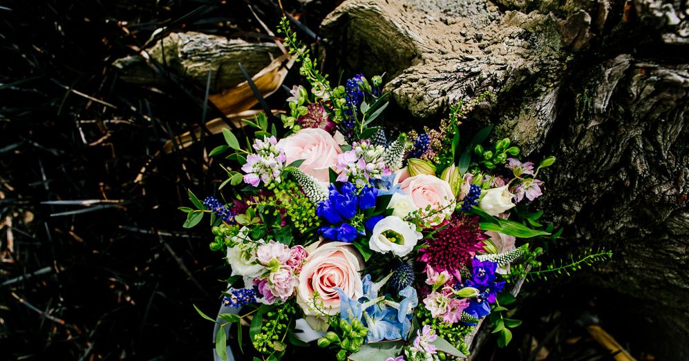 Colourful Coastal Wedding at The Gallivant in Camber Sands with Jesus ...