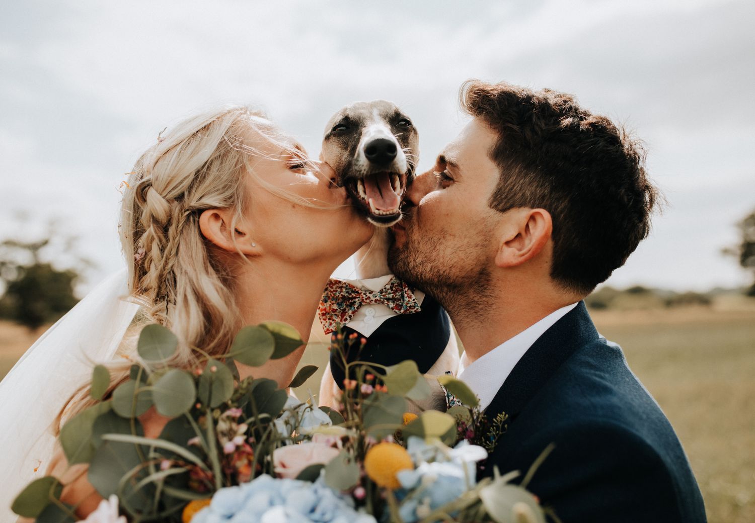 Dog Wedding Outfit Ideas Rock My Wedding Planning