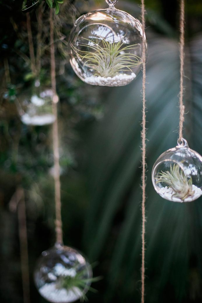 Image by <a href="https://www.fantonphotography.com/" target="_blank">Amy Fanton Photography</a>