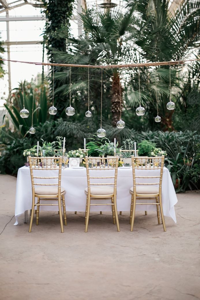 Image by <a href="https://www.fantonphotography.com/" target="_blank">Amy Fanton Photography</a>