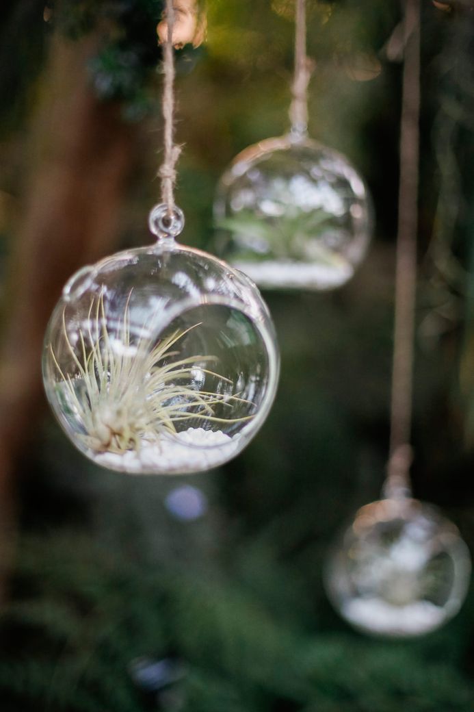 Image by <a href="https://www.fantonphotography.com/" target="_blank">Amy Fanton Photography</a>