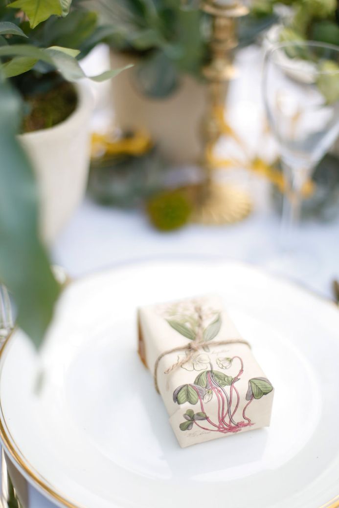 Image by <a href="https://www.fantonphotography.com/" target="_blank">Amy Fanton Photography</a>